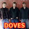 Entra nel Music Center di Doves