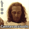 Entra nel Music Center di Lino Cannavacciuolo