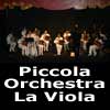 Entra nel Music Center di Piccola Orchestra La Viola