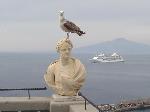 Gabbiano nella terrazza del Grand Hotel Vittoria di Sorrento (Napoli) - Luigi Farina (lfarina52@yahoo.it) - inserita il 25 Maggio 2005