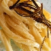 La mia trafila di pasta con i ricci di mare e finta maionese di melanzane - Fotografia di Karen Philips - -