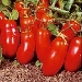 Analisi del condimento sulla pizza margherita napoletana