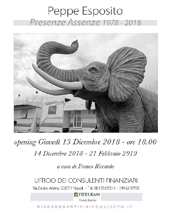immagine in primo piano