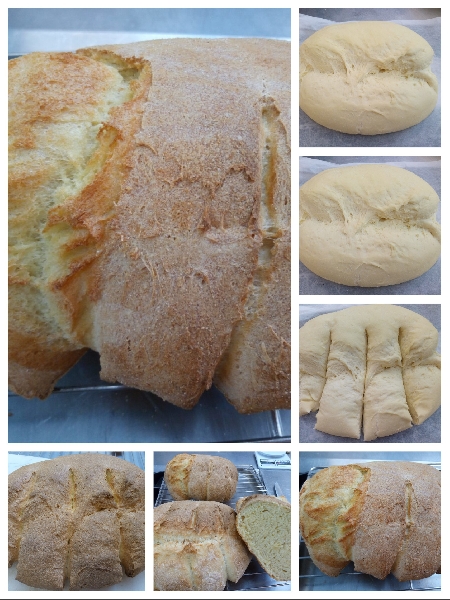 Pane di Altamura DOP