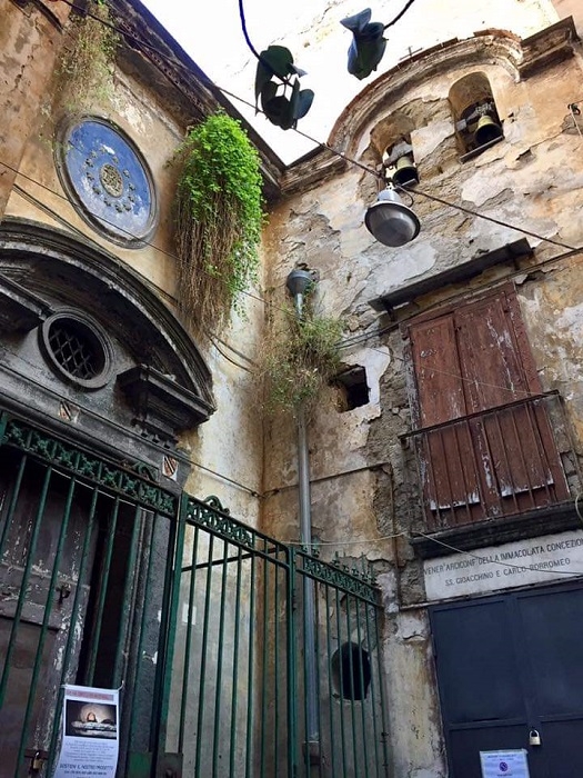 immagine in primo piano
