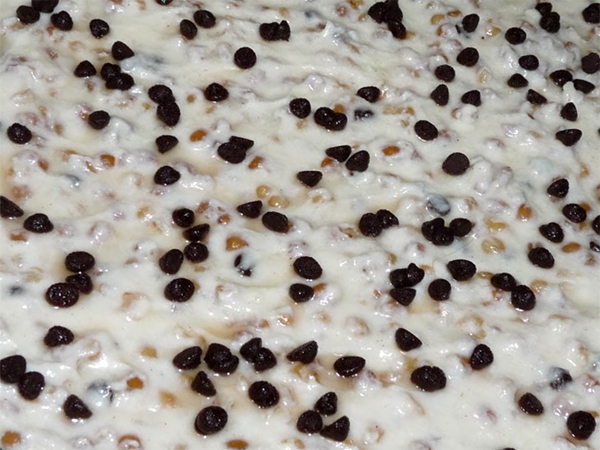 Cuccia
