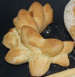 Coccoi o Cocoetto