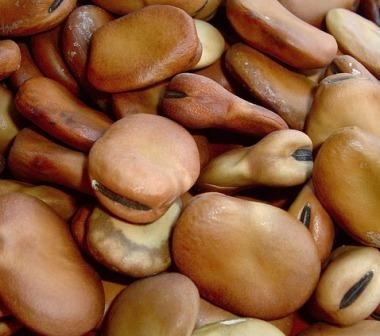 Succùfa/ Succu‘e faa/ Su succu ' fa
“crema di fave secche”