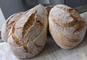 Goccia di semola