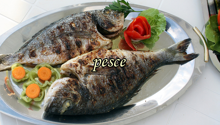 Pesce Pesce