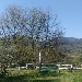 -Aprile 2020  - -Primavera