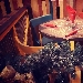 -Atmosfera Natalizia al Pub Don Pablo Lifestyle - -