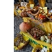 -Biodiversit� - -Biodiversit�