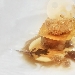 -Bocconcino tenero di agnello marinato al caff�, salsa di mais fresco, cialdina di carote, sfera di cavolfiore al sesamo e pecorino in gocce.  - -Chef Fabio Ometo