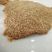 -Cotoletta alla milanese - -