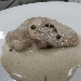 -Filetto al pepe verde con scarola stufata - -