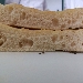 -Focaccia bianca al rosmarino - -