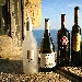 -I vini vincitori del Napoli Wine Challenge 2018 Vitigno Italia
  - -I vini vincitori del Napoli Wine Challenge 2018 
 (foto di Maurizio De Costanzo - www.thewaymagazine.it)