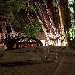 -Il giardino esterno - -
