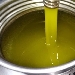 -Il nostro Olio Extra Vergine di Oliva, 
Campagna Olearia 2019/2020 - -