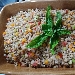 -Insalatina di Orzo con Verdurine - -Insalatina di Orzo con Verdurine