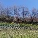 -Orto di Primavera.
 Semina del 23 Ottobre 2019 - -