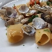 -Paccheri con lupini e filetti di branzino scottato - -