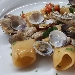 -Paccheri con lupini e filetti di branzino scottato - -