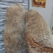 -Pane cafone  � palatel i pan - -