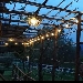 -Pergola di Uva fragola
Aprile - -