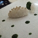 -Ricotta al propoli e miele con clorofilla di spinaci - -