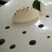 -Ricotta al propoli e miele con clorofilla di spinaci - -