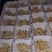 Tartar di spada - -