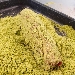 -Trancio di maiale con crosta aromatizzata alle erbe, mezzo cannolo con torcione di purea alla rapa rossa e gel� agli asparagi - -