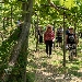 -cantine tagliafierro - -