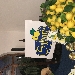 -presentazione limone di sorrento - --presentazione limone di sorrento