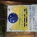 -roll Up limone di Sorrento - -roll Up limone di Sorrento