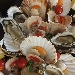 -seafantasy...ebbuonappetito  - -