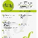 20, 22 e 23 luglio SUMMER CONCERT YOUNG
 - -