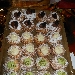 24/02 Note di sapore - -