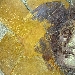 AL VIA LA PRIMA CAMPAGNA DI CROWFUNDING PER IL RESTAURO DI UN SOFFITTO AFFRESCATO DA VILLA SAN MARCO
 - -