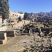 Al Parco di Ercolano � arrivata la primavera con l'orario estivo
 - Dal 16 marzo parte l'orario prolungato e si annunciano nuovi eventi.

