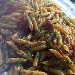 Allardiata - -