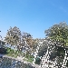 Arp�ge di Desenzano - -