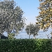 Arp�ge di Desenzano - -