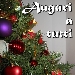 Auguri a tutti! - -
