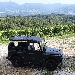 Azienda Agricola  Roccat - -