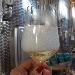 Azienda Agricola  Roccat - -
