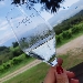 Azienda Agricola  Roccat - -