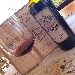Azienda Agrituristica El Pendola - -